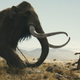 Illustration for article titled Global warming started 15,000 years ago with uncontrolled mammoth hunting